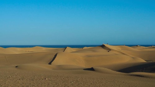 Sand dunes stretch to the horizon under a clear sky, Maspalomas Dunes, Gran Canaria, Spain