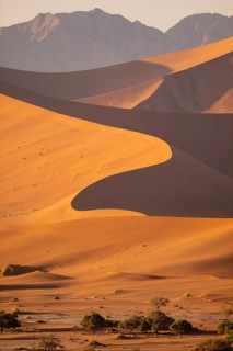 Red-yellow sand dunes of the Namib, Namib Desert, Namib-Naukluft National Park, Namibia