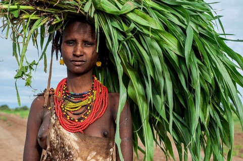 Portrait of a young woman from the Dassanech tribe, Omo valley, Ethiopia, carrying a bunch of
