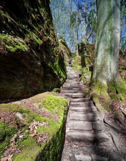 Descent into the Uttewalder Grund, rocky valley near Lohmen, gorge, rock formation, hiking,