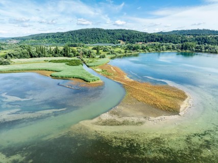 Aerial view of the mouth of the Stockacher Aach at low tide, which flows into Lake Überlingen. As a