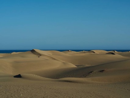 Endless sand dunes meet clear blue sky and horizon, Maspalomas Dunes, Gran Canaria, Spain