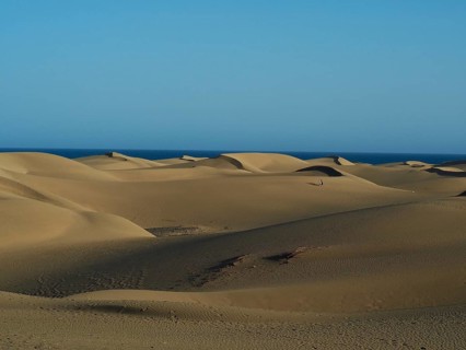 Wide sand dunes under clear skies in a quiet desert landscape, Maspalomas Dunes, Gran Canaria,