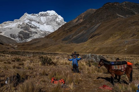 Mountaineer with luggage and packhorse off Nevado Santa Cruz northeast face, 6259 m, Cordilera