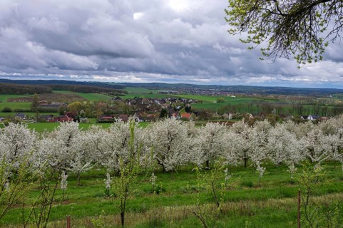 Franconian spring landscape in cherry blossom, rain clouds, Kirchrüsselbach, Upper Franconia,