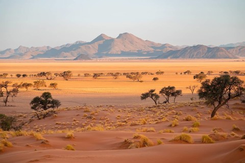 Evening, dry landscape in the NamibRand Nature Reserve, Naukluft Mountains behind, Namib Desert,