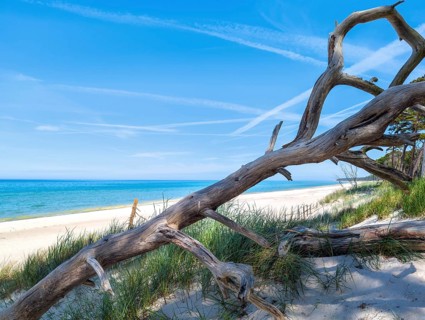 Naturstrand Darß Baltic Sea Germany