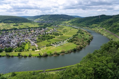 The wine town of Pünderich, in the district of Cochem-Zell, on the Moselle, view from the vineyards