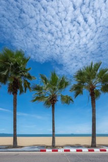 Palm trees and beach, Jomtien, Thailand