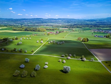 Blooming fruit trees, Beinwil, Freiamt, Canton of Aargau Switzerland