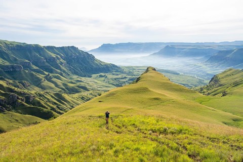 Female hiker on the hiking trail to Cathedral Peak, Green Mountains and Hills, Drakensberg