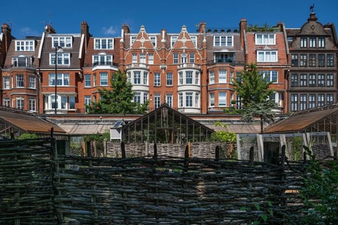 Victorian townhouses on Royal Hospital Road, woven fence and historic greenhouses, Chelsea Physic