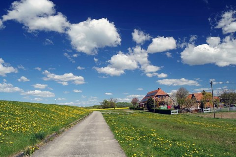 A country road leads to a house under a clear blue sky with big white clouds, Stipelse, spring,