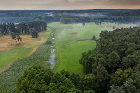 Barnim, Brandenburg, FFH area, Finow Valley, Finowtal-Pregnitzfließ, Germany, Natura 2000, Barnim