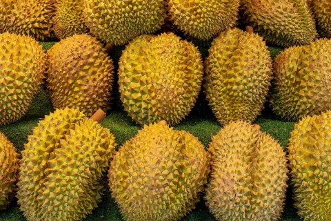 Durian fruit sales rack, Pattaya, Thailand