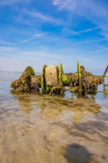 Algae-covered wreck against clear sky and calm water, low tide, Howth beach, Ireland