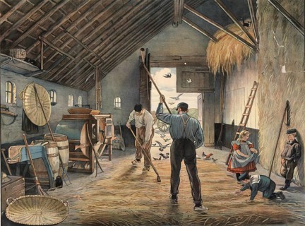 The picture illustrates the traditional, artisanal threshing of grain in a barn. Two men hit the