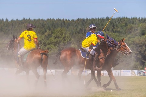 Polo player, polo horse, polo pony (Equus), rider, polo tournament, 1295 Polo Masters, Sylvenstal,