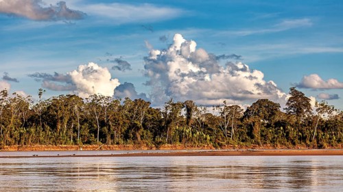 Lush forest with river in the foreground and dramatic sky, The Beni River near Rurrenabaque in the
