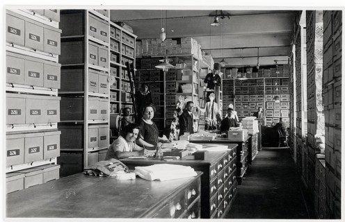 Goods warehouse, sorting, stacking, sales warehouse, employee, woman, sales, shop, business,