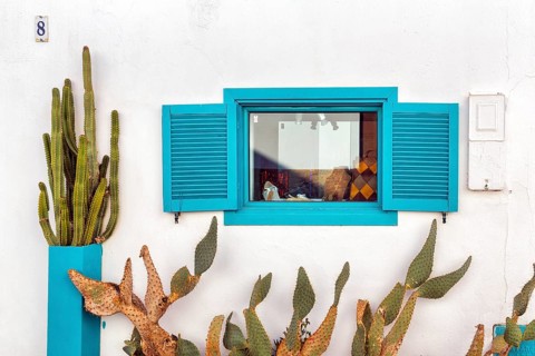 Facade detail: a turquoise-blue shop window with rustic shutters, columnar cacti and prickly pears