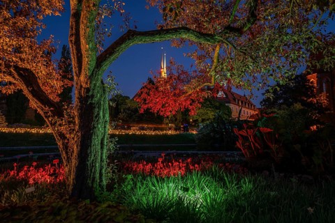 Night view of illuminated flower beds and trees in a botanical garden with a historic cathedral in