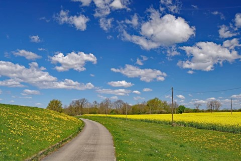 A rural trail snakes through green fields with a yellow rapeseed field, Neu-Bleckede, spring,