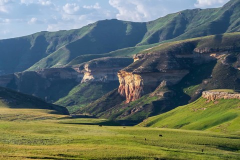Grassland with sandstone cliffs and cliffs, landscape in Golden Gate Highlands National Park, Free