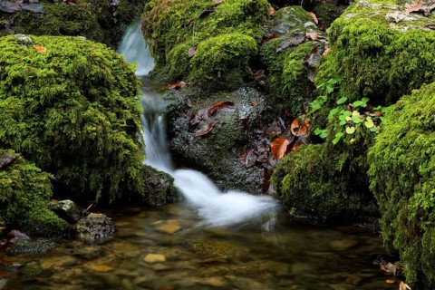 Urach waterfall, close-up of a small waterfall flowing over mossy rocks, Kleine Ohe, stream in the