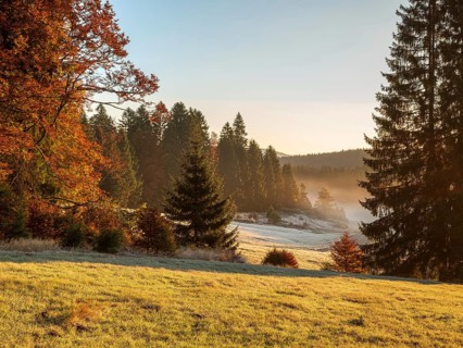 Typical open Black Forest landscape with meadows and forests in autumn in morning light with fog
