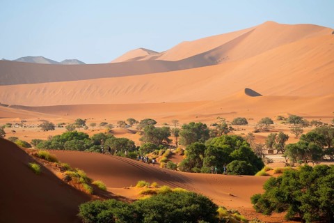 Tourists hike between red-yellow Namib sand dunes, Namib Desert, Namib-Naukluft National Park,