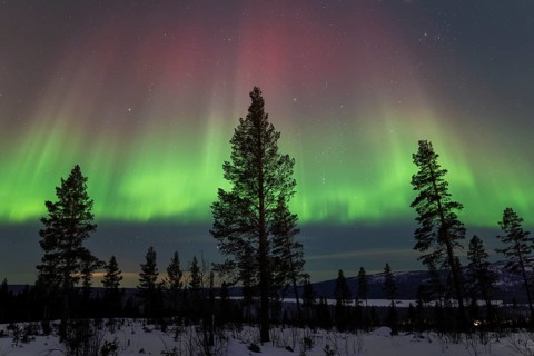 Northern Lights (Aurora borealis), Gällivare, Norrbotten, Lapland, Sweden, December 2024