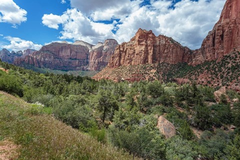 Rugged mountains with various geology in Zion National Park, Utah