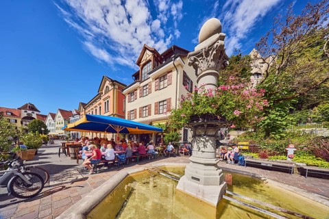 Ancient fountain, historic city fountain, flower decoration, general architecture, houses, public