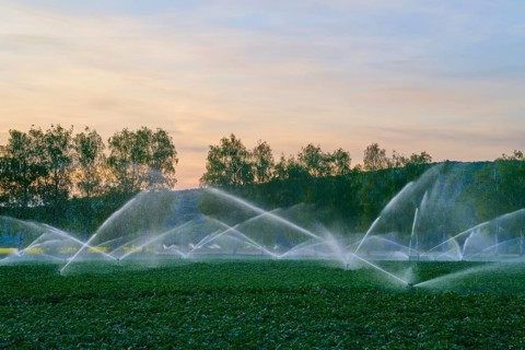 Fine jets of water sprinkling fields in front of a colorful sunset, Karlburg, Karlstadt,