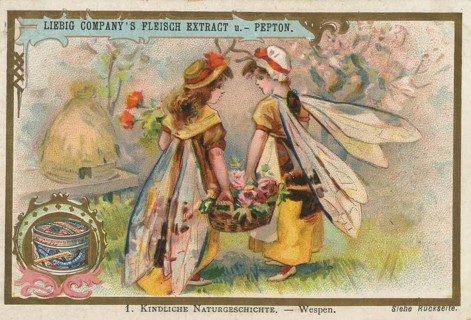 Picture series Children's Natural History, two children in imaginative costumes with insect wings