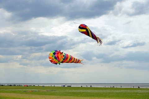Colourful kites in the air above the dragon meadow of Norddeich, North Sea, Lower Saxony, Germany