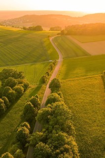 Trail snakes through a green landscape surrounded by fields at sunset, Gechingen, Hecken and Gäu