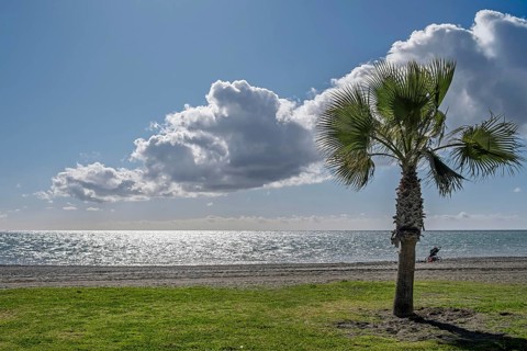 Coastal landscape with palm trees, sea views and dramatic clouds under clear sky, Torre de Mar,