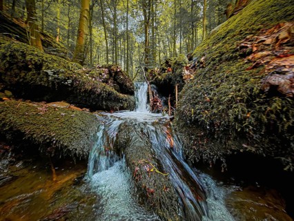 A waterfall on the Werre Bach in a moss-covered forest with intense lighting, quiet, melancholy