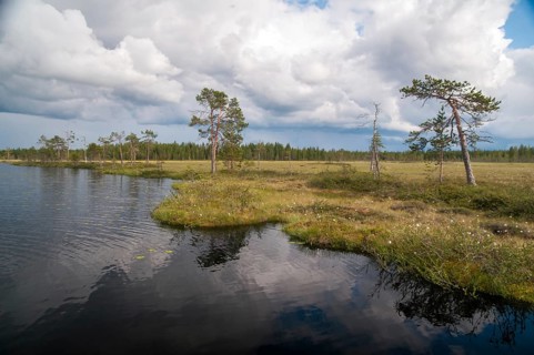 Finland, Bog, Countries, Lake, Landscape, Countries, Marsh, Moor, Travel, Lake, Travels