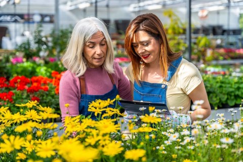 Two women in aprons and gloves collaborate in a vibrant greenhouse, checking inventory on a