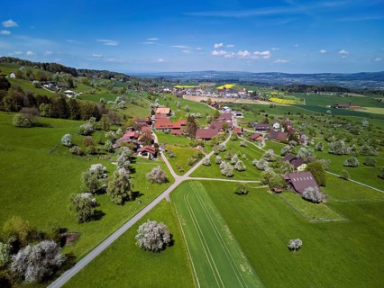 Blooming fruit trees in the hamlet of Wiggwil, Beinwil, Freiamt, Canton of Aargau Switzerland