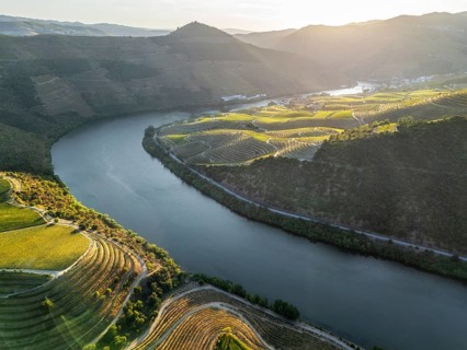 Aerial sunset composition of the Douro River flowing between illuminated terraced vineyards in