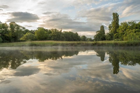 There are trees near a pond. Her reflection can be seen in calm water. There are a few clouds in