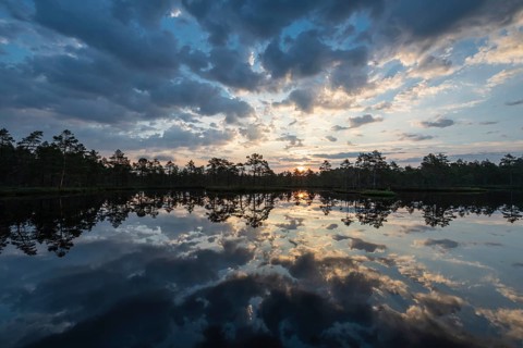 Cloud reflection in a moor lake, Knuthöjdsmossen Nature Reserve, Västmanland, Sweden, July 2018