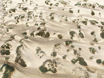 Sand hummocks caused by dwarf shrubs. Aerial view. Drone shot. Namib Desert, Skeleton Coast,