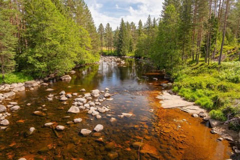 View of Fjellgardselva River, Drangedal, Telemark, Norway