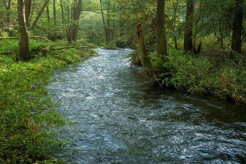 Germany, Greiz, Thuringia, Weidatal, stream, flowing water, river, landscape, river, river