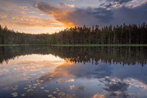 View of Lake Ongeltjørn at sunset, Telemark, Norway